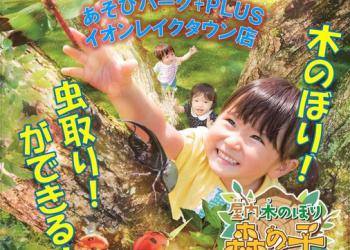 あそびパーク+PLUS(ナムコイオンレイクタウン店)の写真1