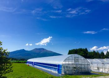 軽井沢ガーデンファームいちご園の写真1