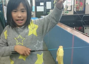 室内釣り堀の写真1