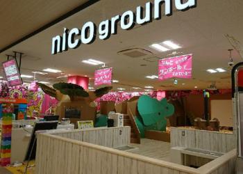 NICOPA&nico ground クロスガーデン調布の写真1