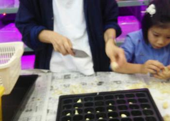 みんなのスプラウトにんにくファームの写真1