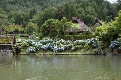飛騨民俗村・飛騨の里の写真1