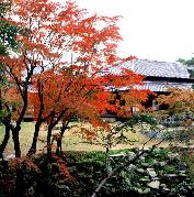 長府毛利邸の写真1