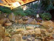 ゆの杜 竹泉の写真1