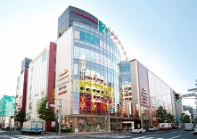 ディノス ノルベサの写真1