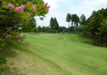 ダイナミックゴルフ成田の写真1