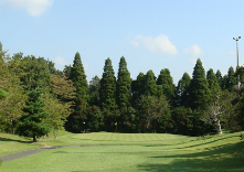 大網グリーンゴルフの写真1