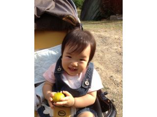 やぶ果樹園の写真1