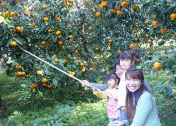 松本農園の写真1