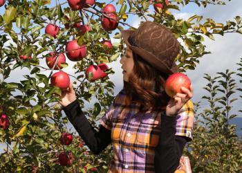 中条フルーツ農場の写真1