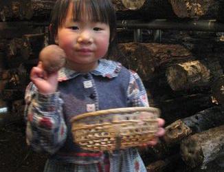 きのこ苑 お山のたいしょうの写真1