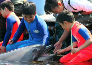 ドルフィン・ベェイスの写真1