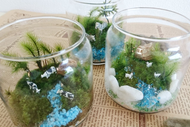 苔工房アイモスの写真1