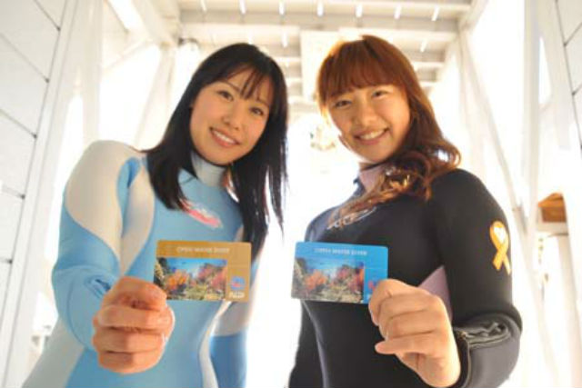 ビーチタイムの写真1