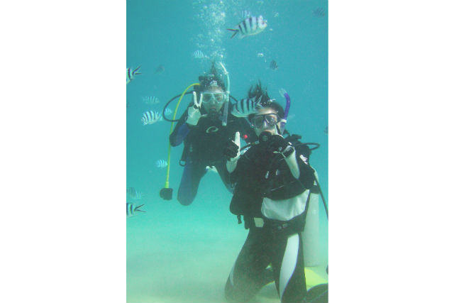 アイラシアの写真1