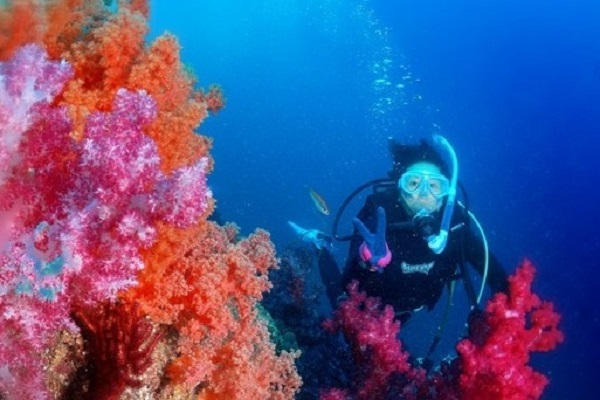 海の案内人ちびすけの写真1