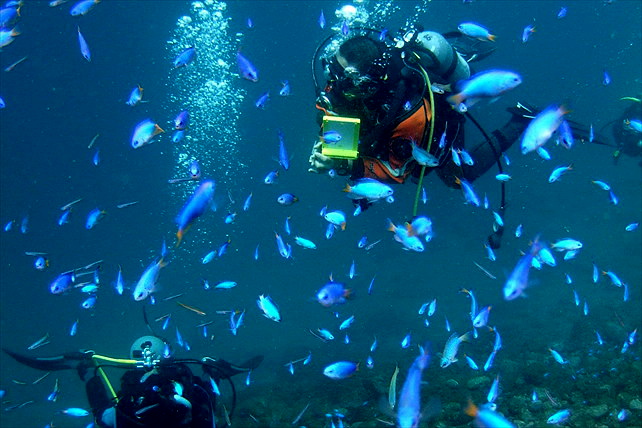 井田ダイビングセンターの写真1