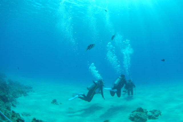 エンジェルマリンの写真1