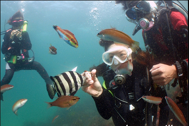 Ohana with...の写真1