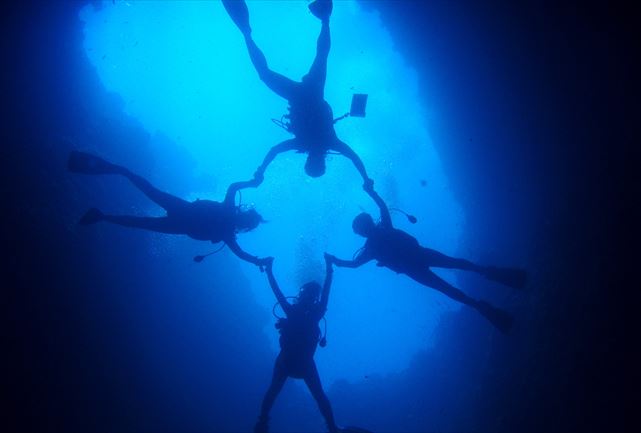 ダイビングプロショップ ル・ポワソンの写真1