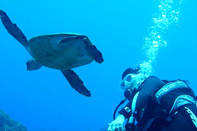 Diving club海音～kanon～の写真1
