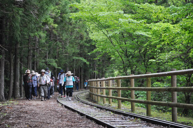 井川観光協会の写真1