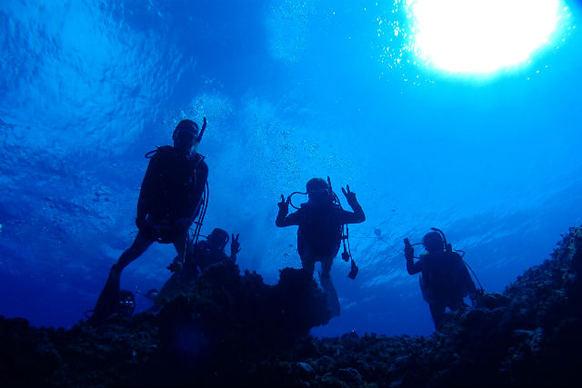 ダイビングショップフリースタイルの写真1