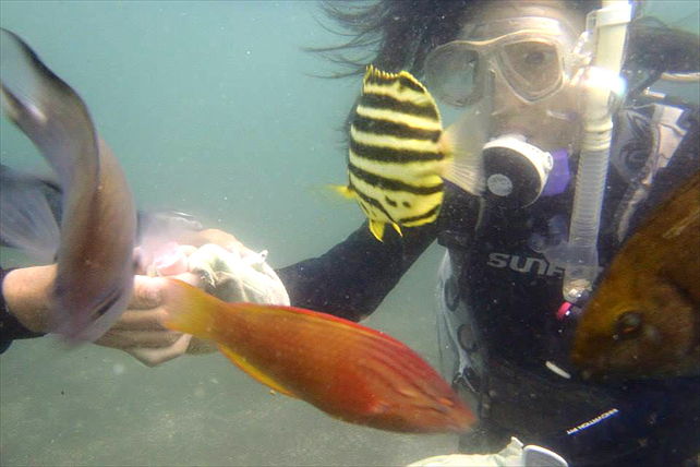 ダイビングショップ MIUの写真1