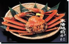 大漁市場 越前やべ清の写真1