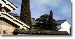 飯沼飛行士記念館の写真1