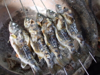 古屋敷養魚場の写真1