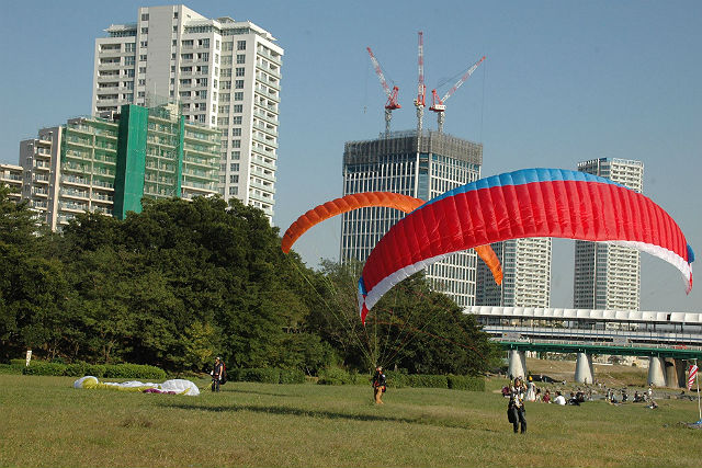 たまっパラの写真1