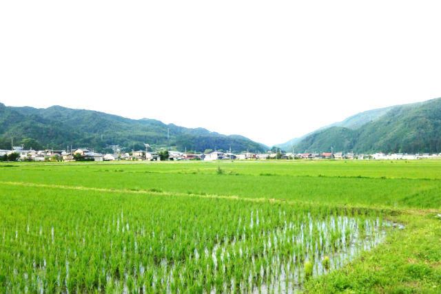 游山化計画ゴローの写真1