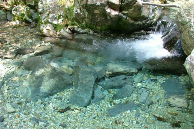 道の駅加子母の写真1