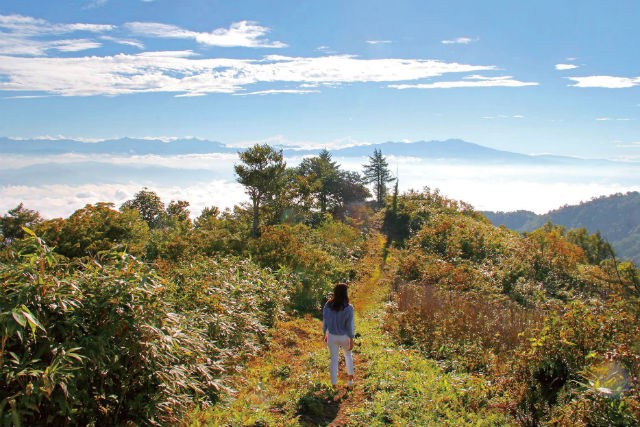 旬菜の宿ホテル季古里の写真1