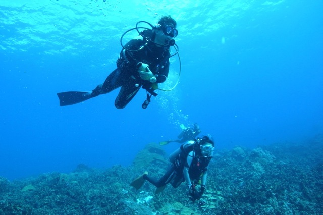 ダイビングショップ アリエスの写真1