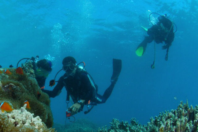アリストダイバーズ南勢相賀浦店の写真1