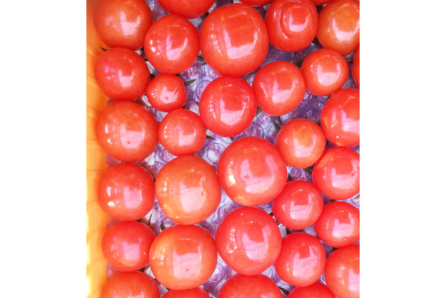 くらもとファームの写真1