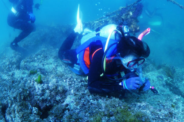 アリストダイバーズ賢島本店の写真1