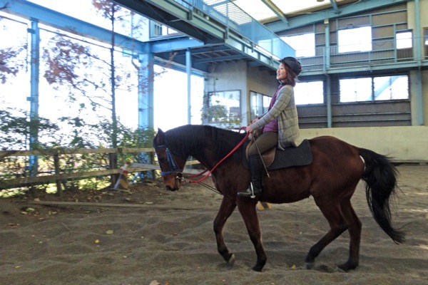 湯の山乗馬クラブの写真1