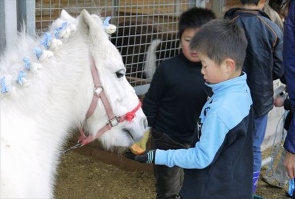 北勢ライディングファームの写真1