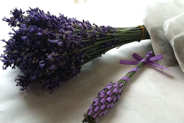 大紀町地域活性化協議会の写真1