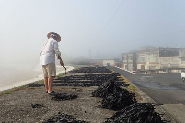 ダイブステーション35の写真1