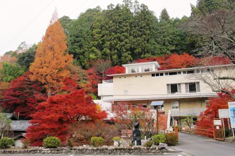 新城市鳳来寺山自然科学博物館の写真1