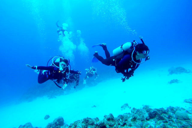 潜水工房 鯨庵の写真1