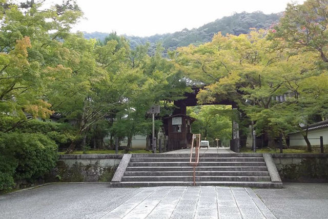 京都文化企画室の写真1