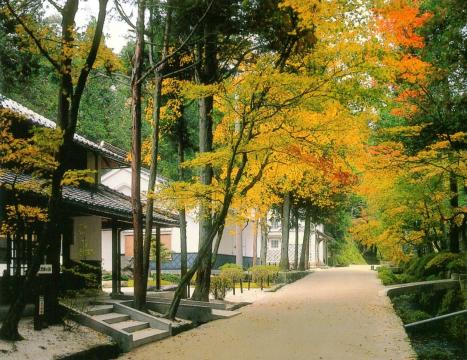 絲原記念館の写真1