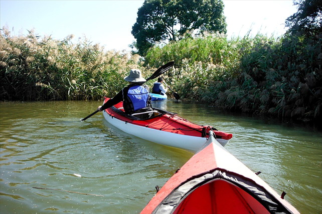 KAYAK kono-toriの写真1
