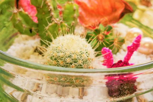 大阪手作り体験のLALALAPOの写真1