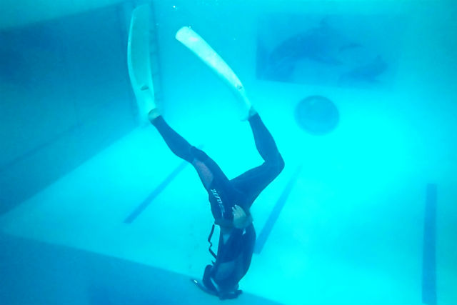 マリン / 大阪ダイビングカレッジの写真1
